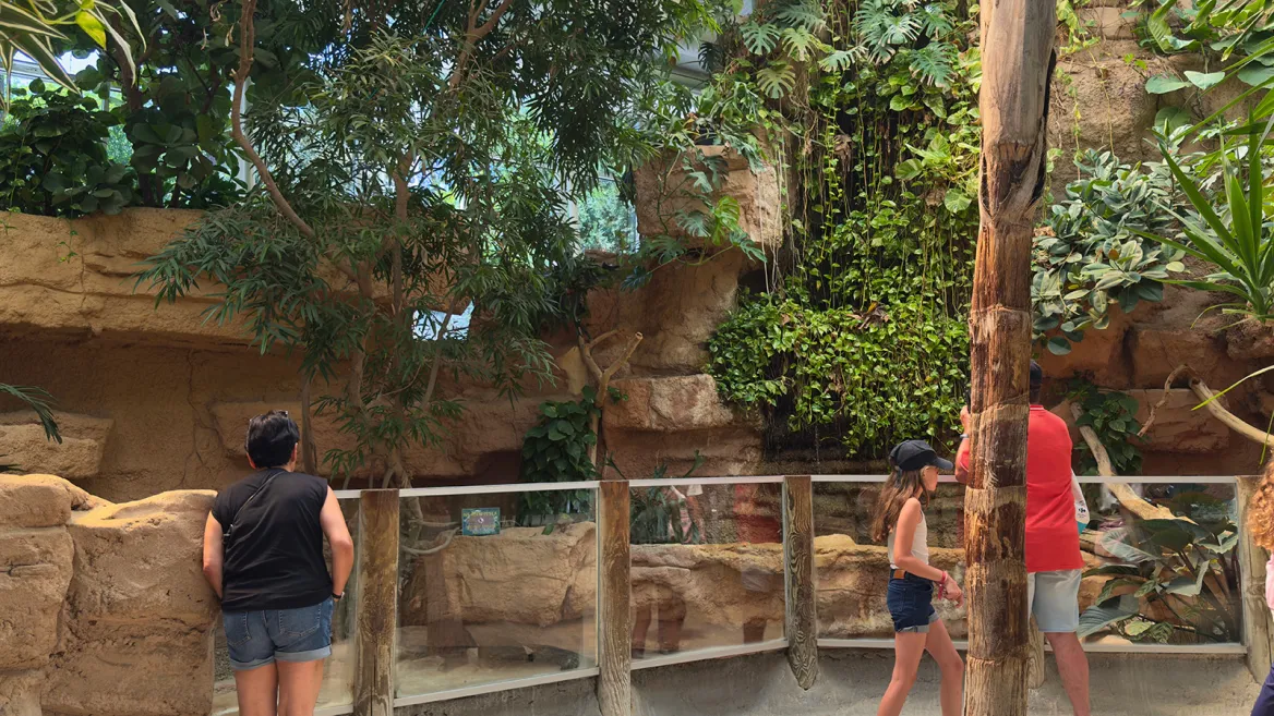 Zoo de la Palmyre vivarium
