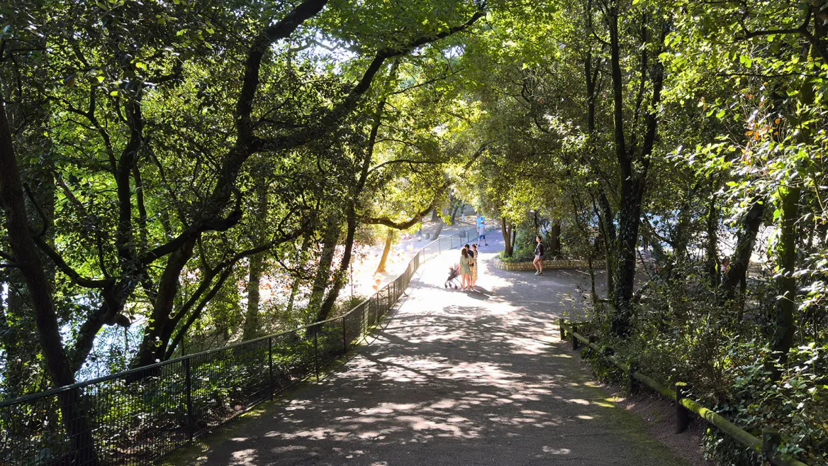 Zoo de la Palmyre