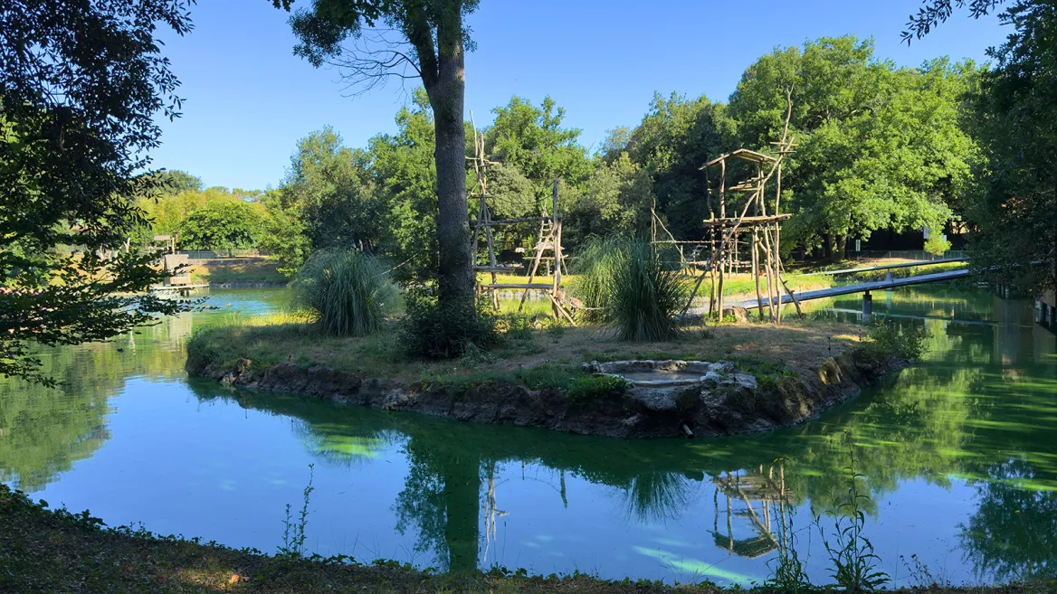 Zoo de la Palmyre lémuriens