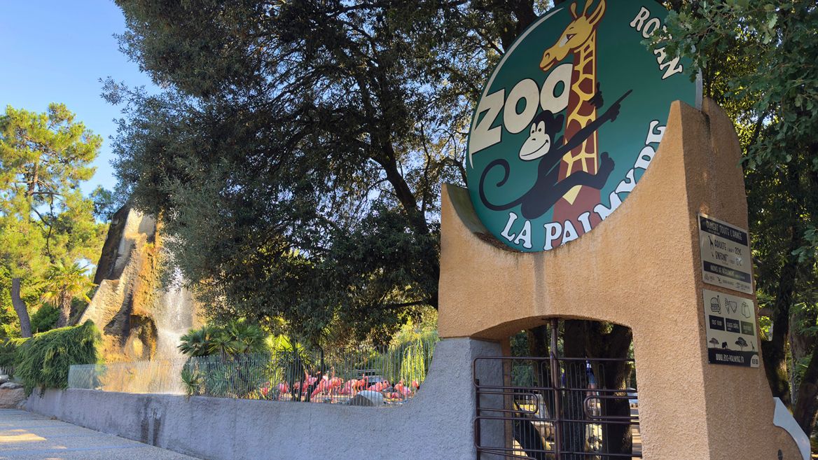 Une journée au Zoo de La Palmyre - Guide de Charente Maritime