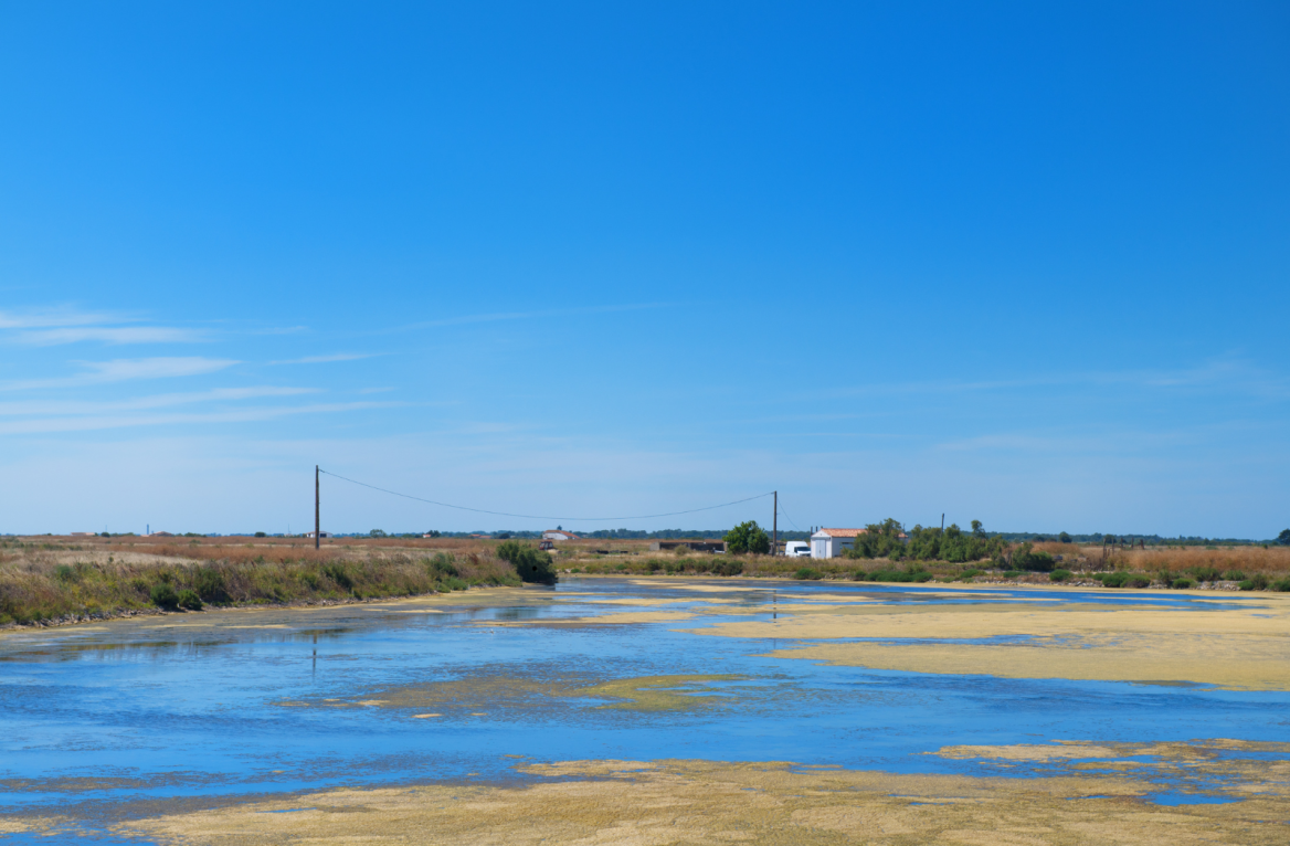 Île de Ré
