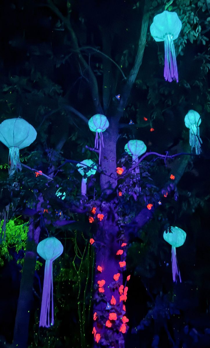 Oceana Lumina méduses