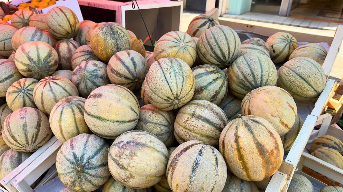 Rochefort melon market