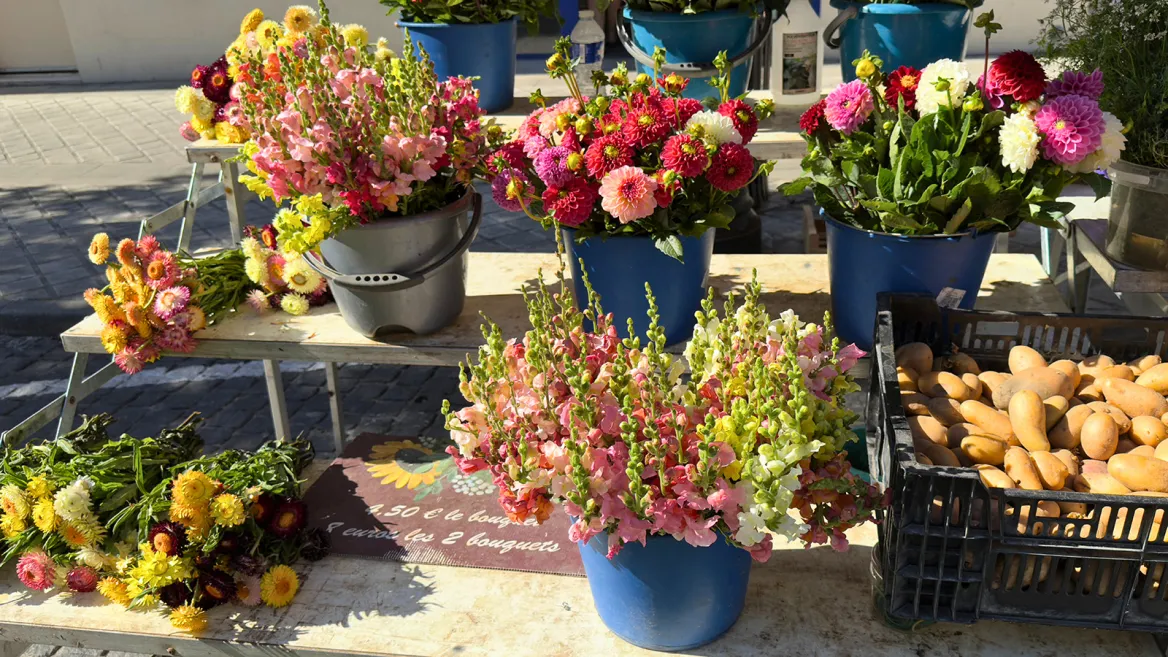 Rochefort flower market