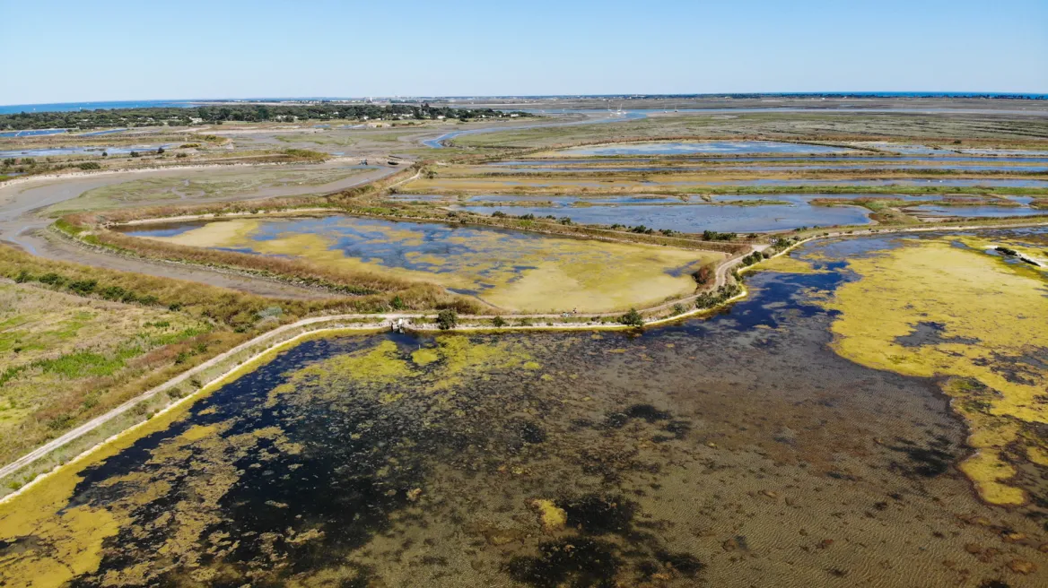 Réserve Naturelle de Lilleau des Niges