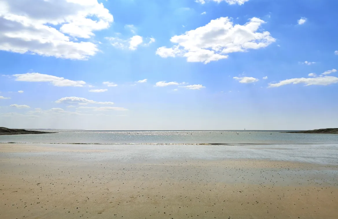 Plage des Gros Joncs