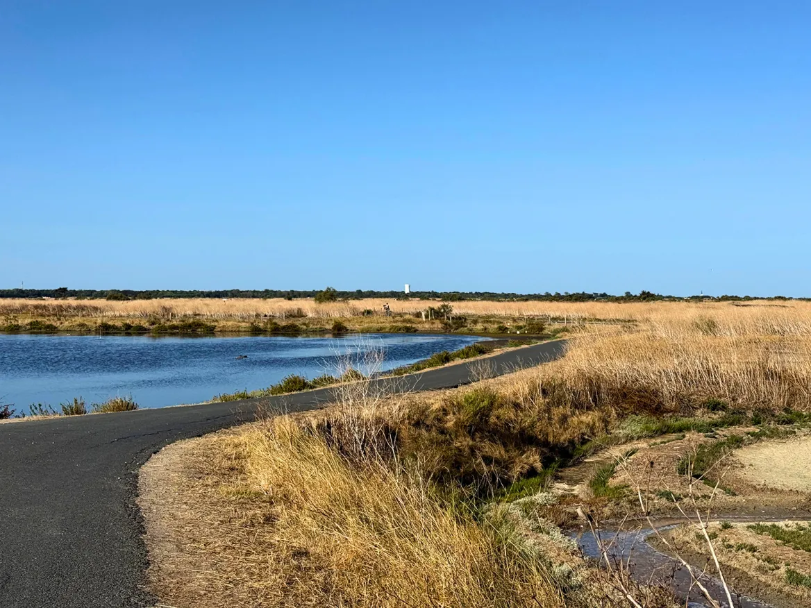 Lilleau des Niges Nature Reserve