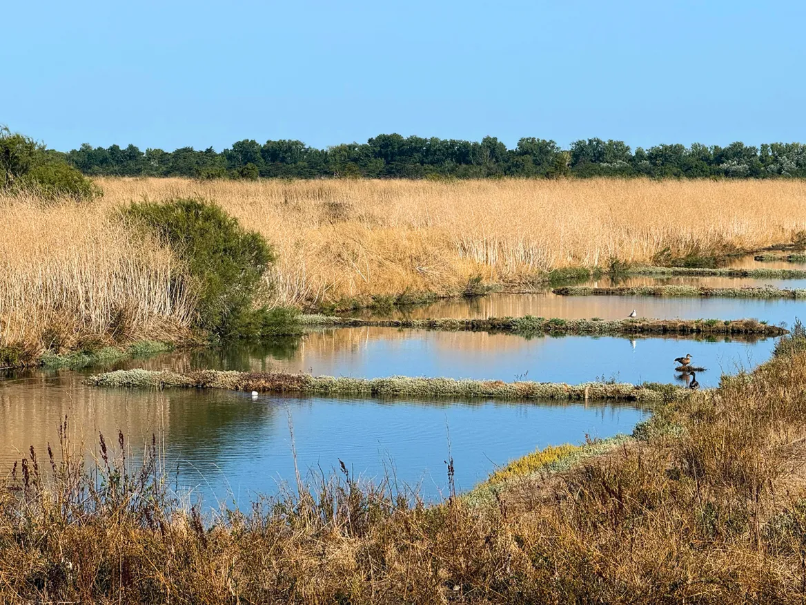 Lilleau des Niges Nature Reserve