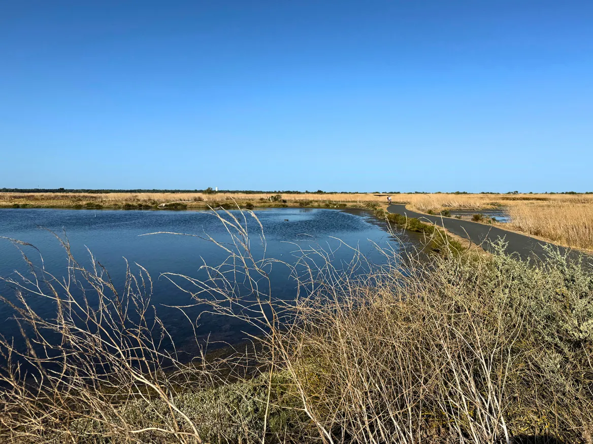 Lilleau des Niges Nature Reserve