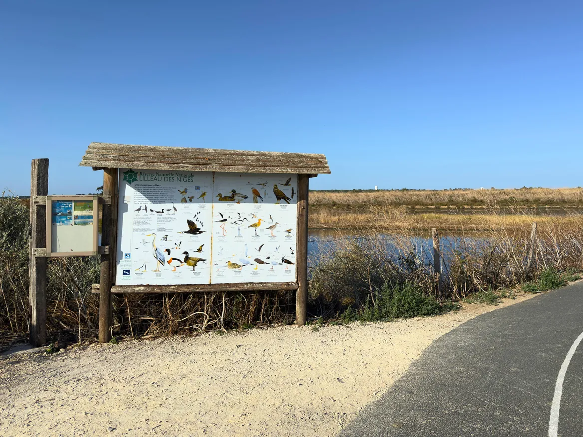 Réserve naturelle de Lilleau des Niges