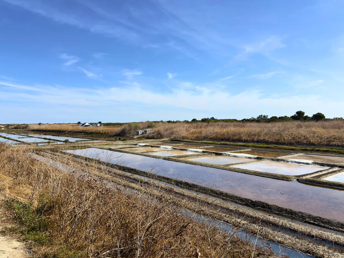 Marais salant de Loix