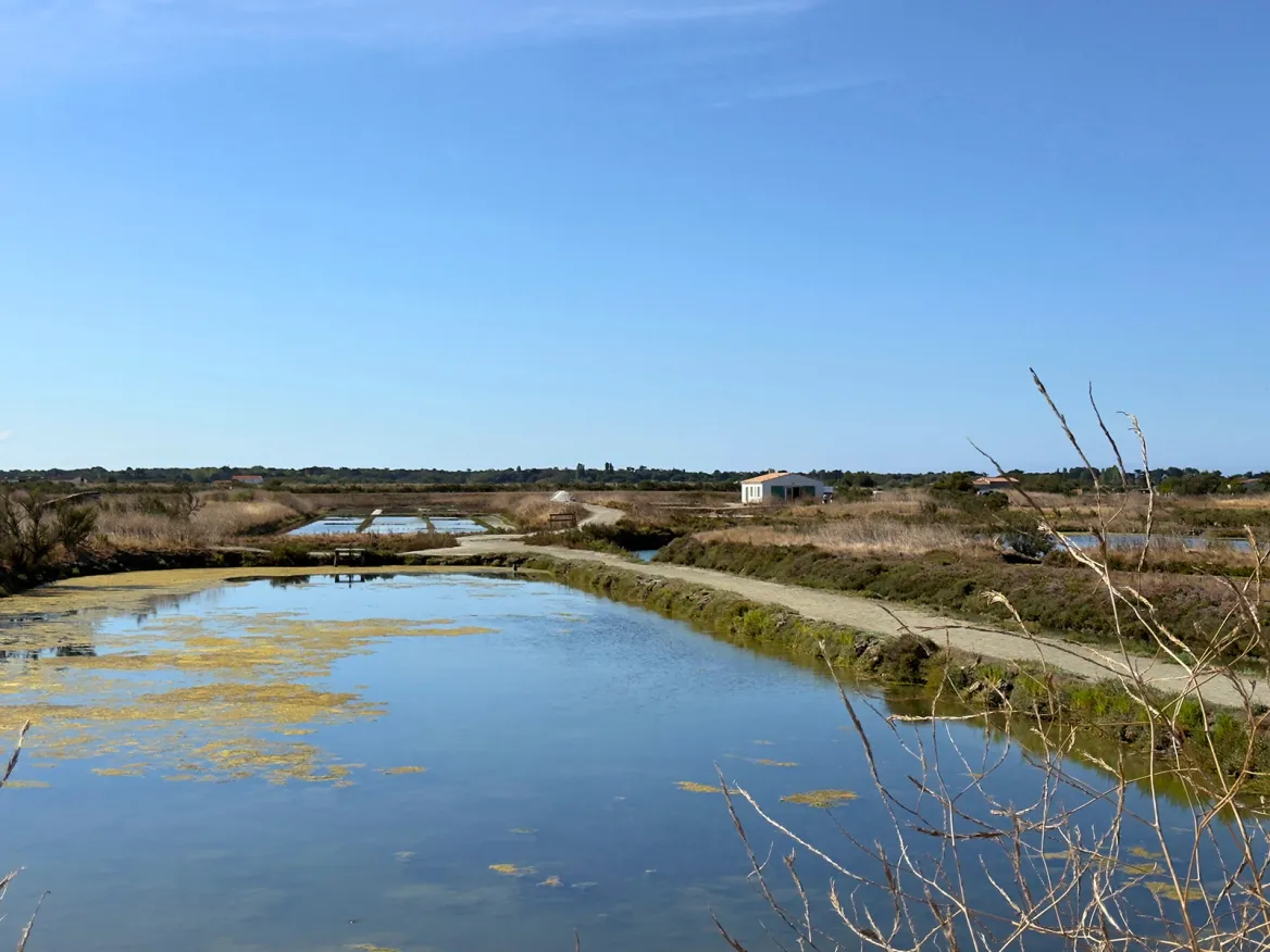 Marais salant de Loix