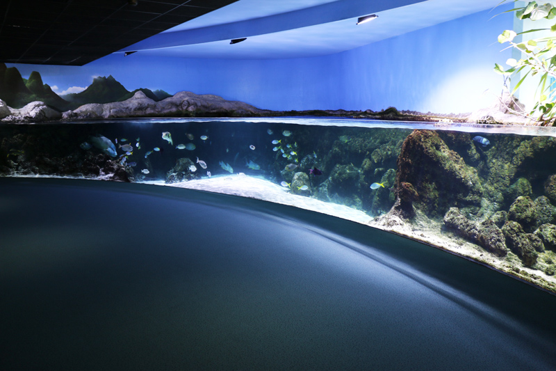 Aquarium de La Rochelle 