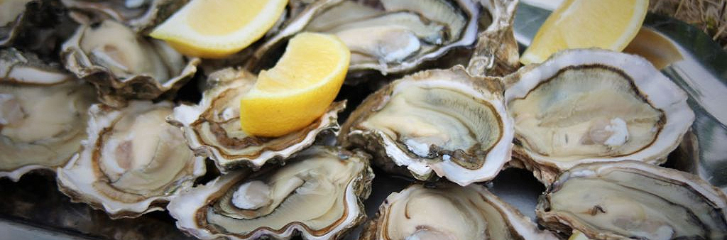 oysters
