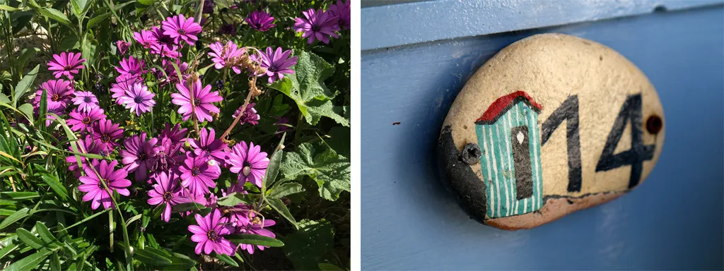 Des fleurs magnifiques explosent de couleurs partout !
