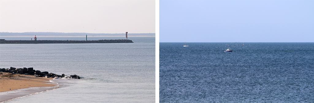 L'entrée du port et les bateaux de pêche avec les mouettes opportunistes