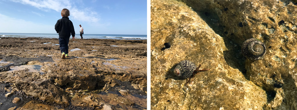 Pêche à pied