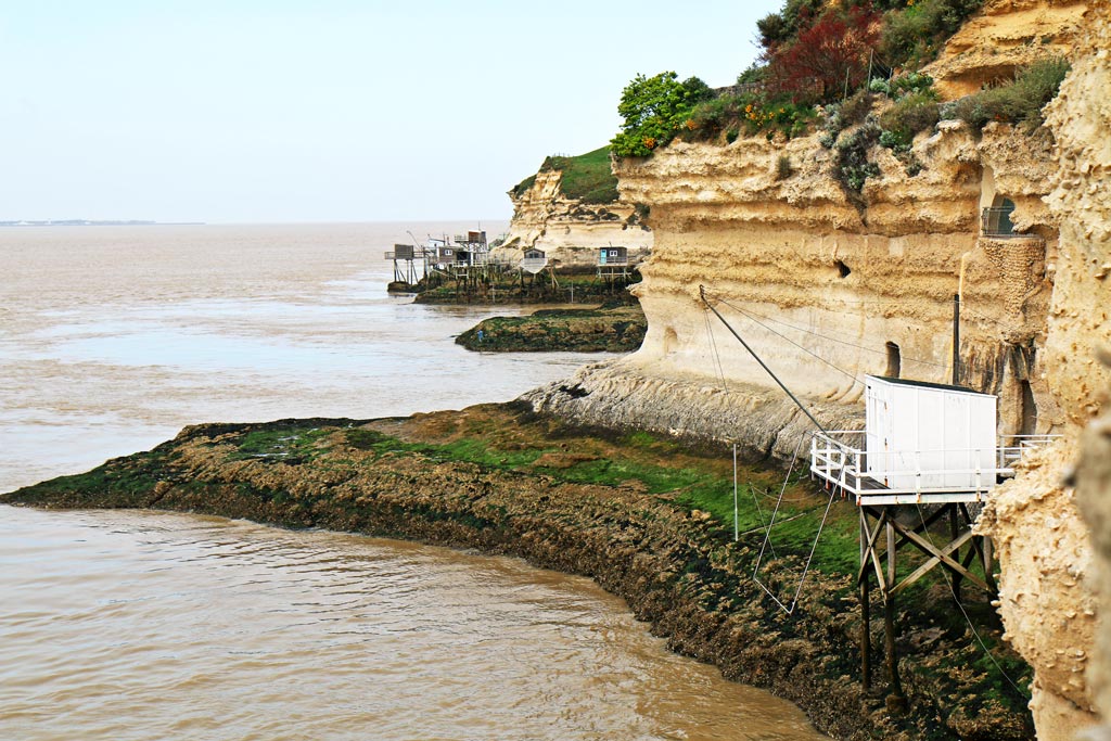Plaice on the cliff