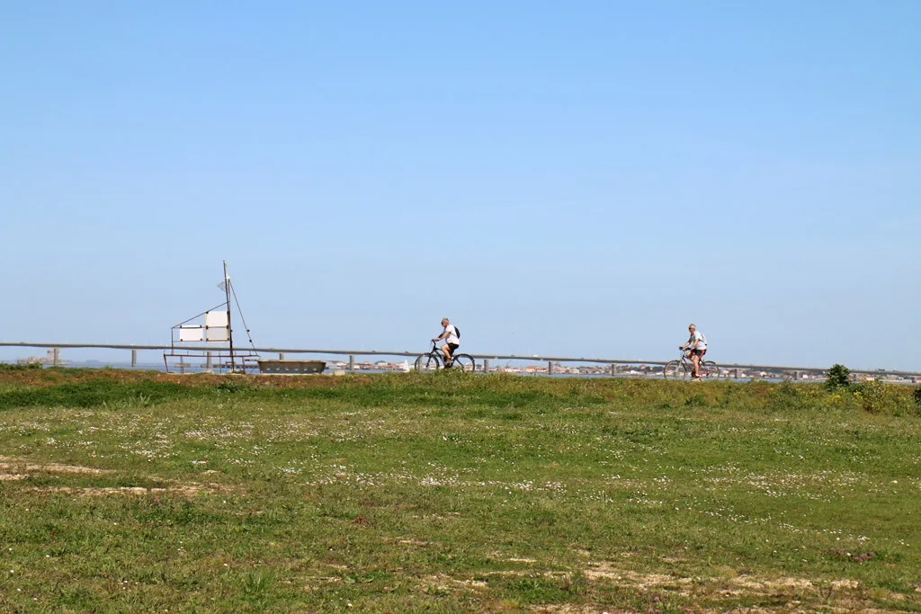 Vélo à Saint-Trojan