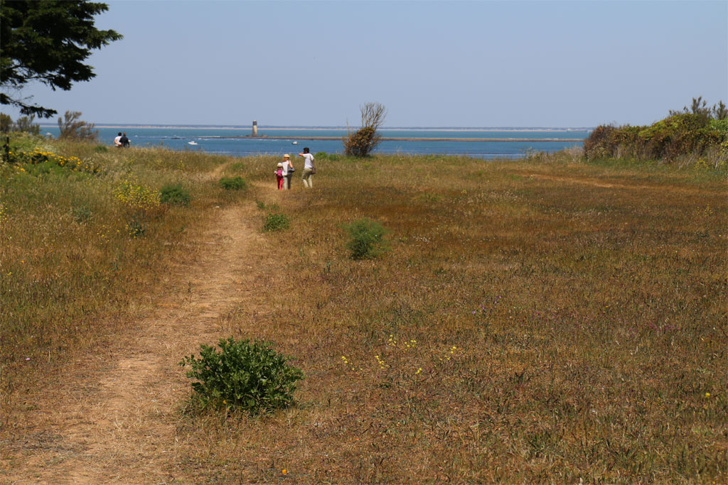 Accès à la plage