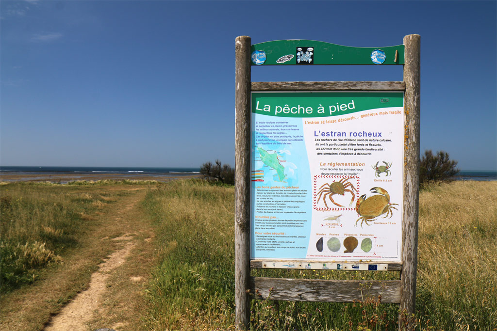 Promenade sur l'estran