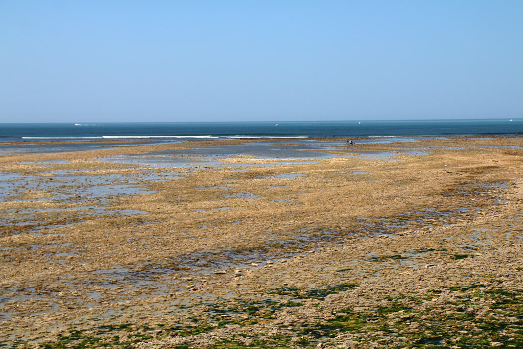 Un environnement particulier