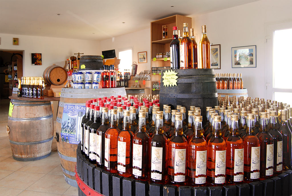 Photo vignoble Maxime Pinard