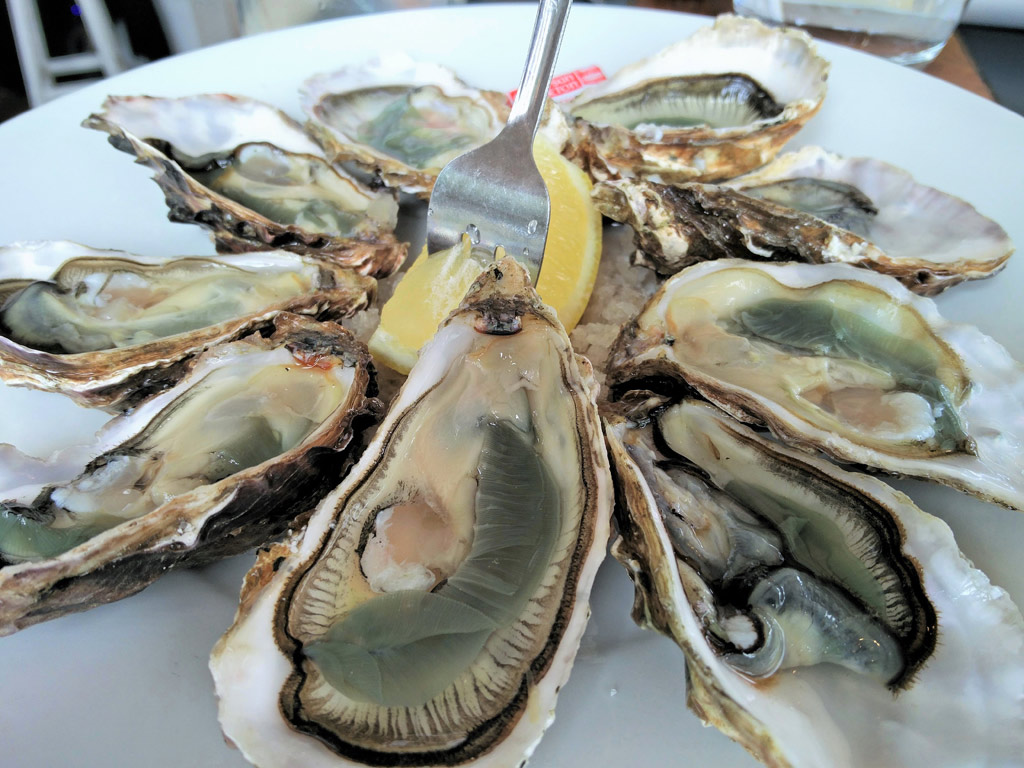 Oysters