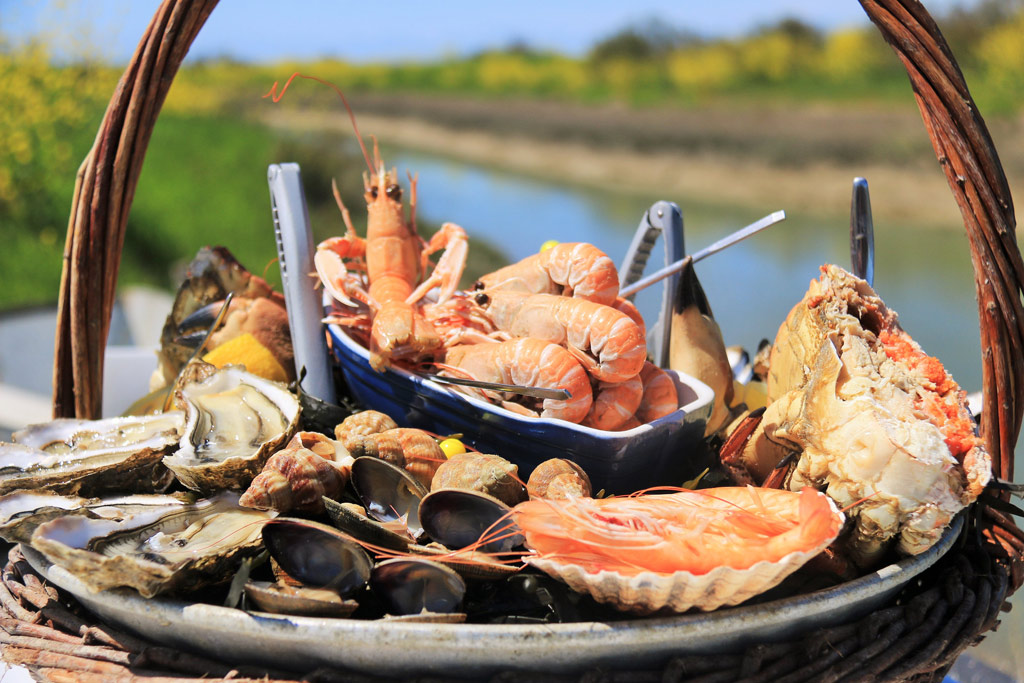 Magnificent seafood platters