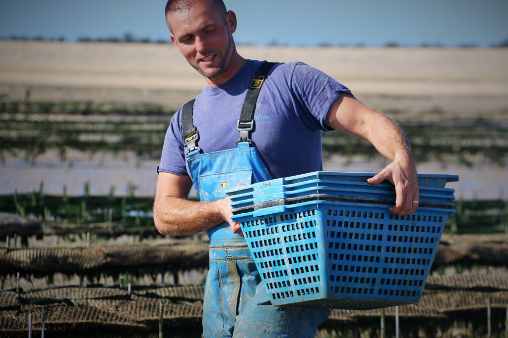 Oyster farmer
