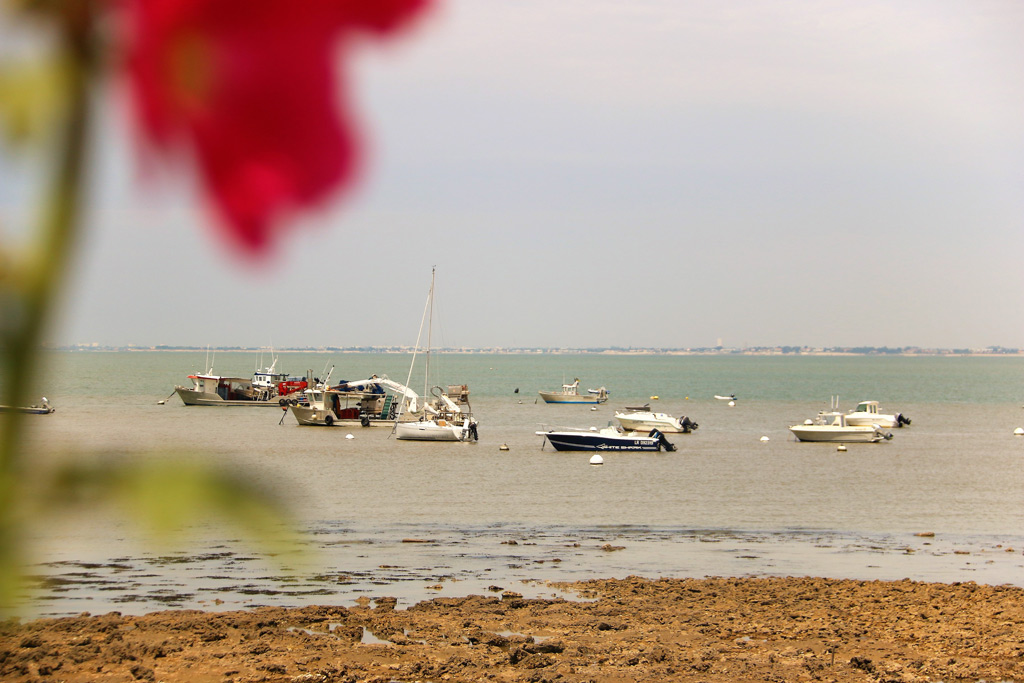 Fouras coastline