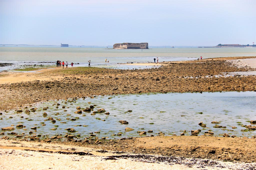 Fouras coastline