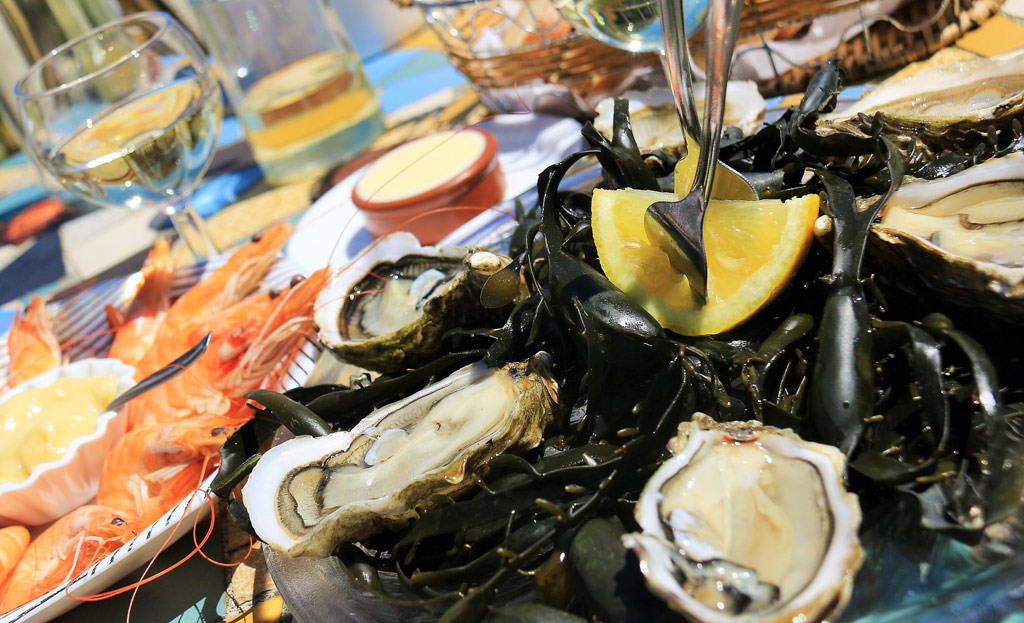 Oyster tasting