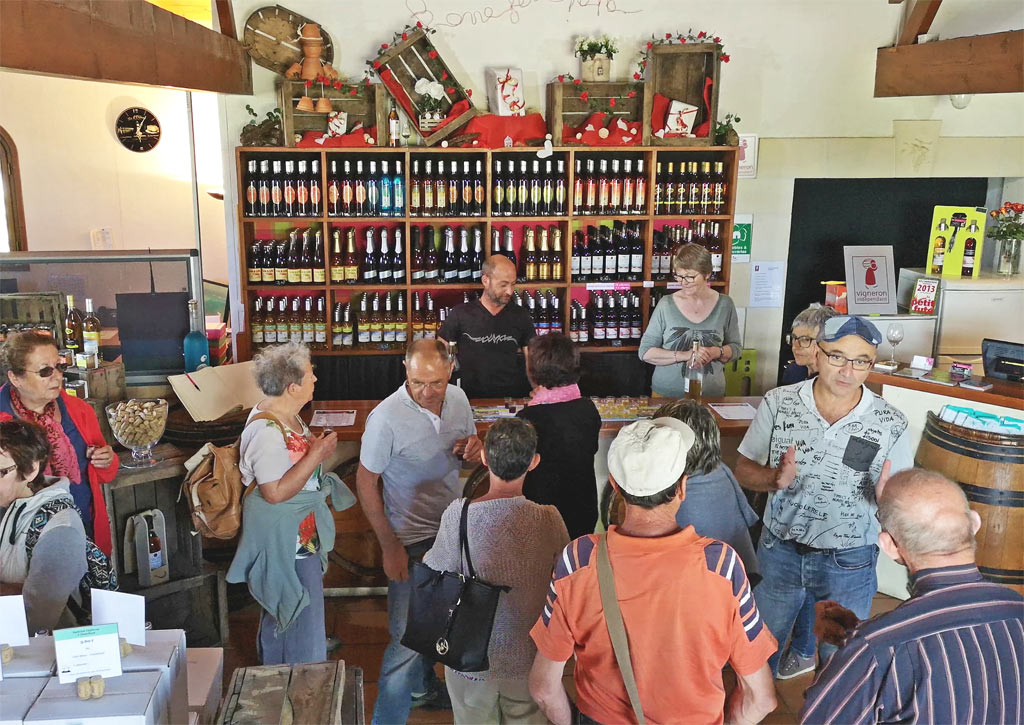 Vincent Oleron Vineyard Tour