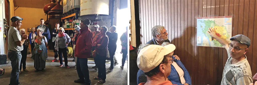 Vincent Oleron Vineyard Tour