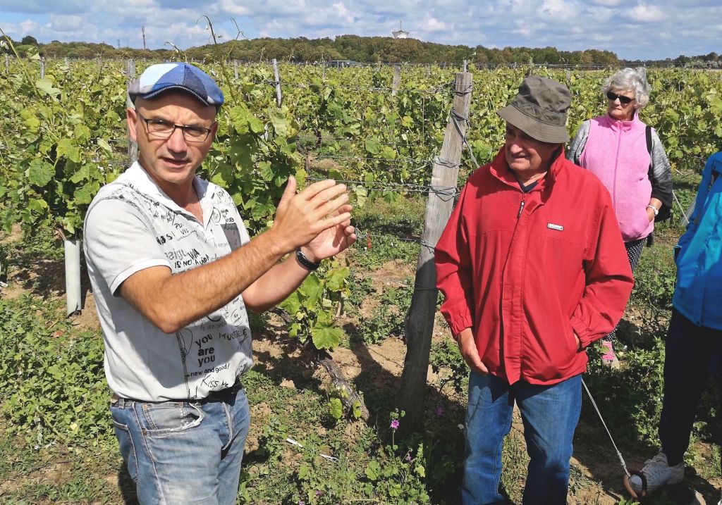 Vincent Oleron Vineyard Tour
