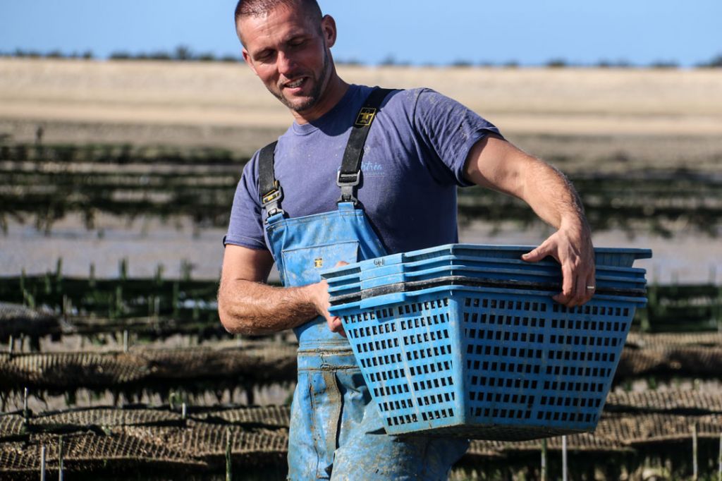 Charente Maritime Oyster Parks