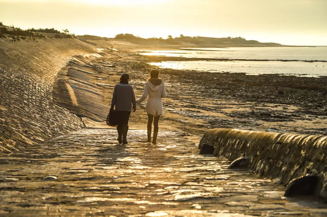 Les Algues de Charente Maritime