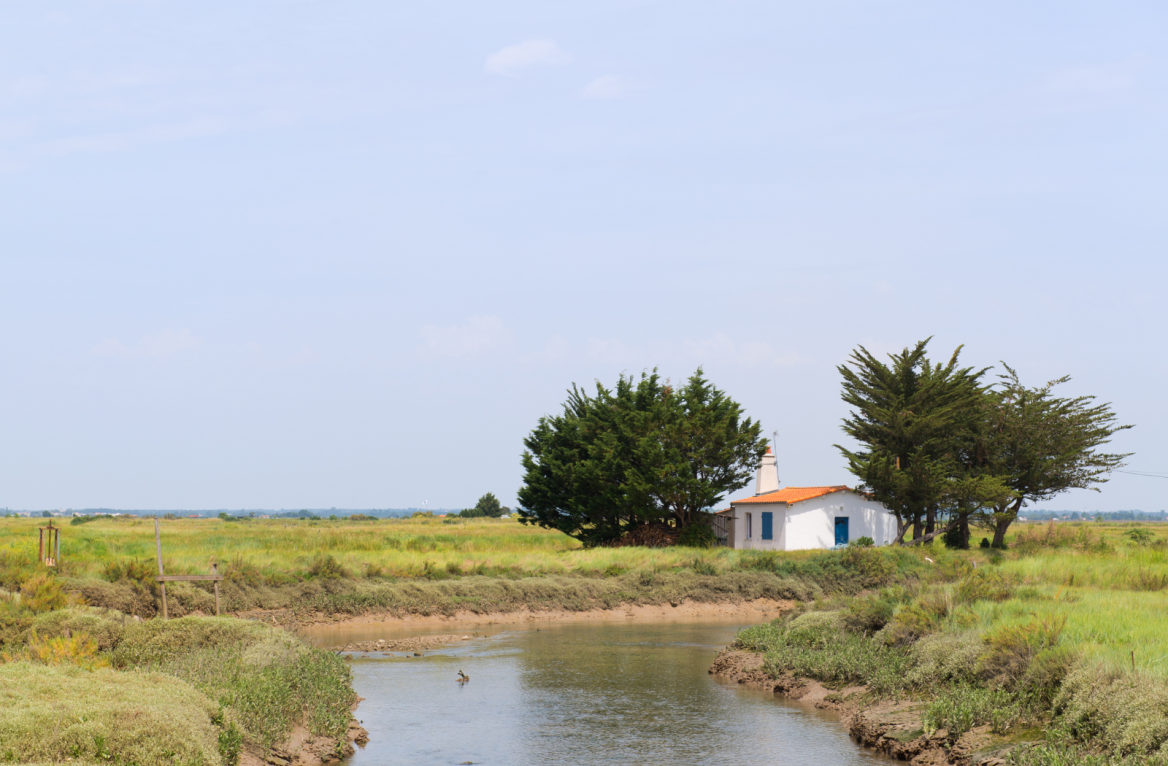 vignoble charente maritime