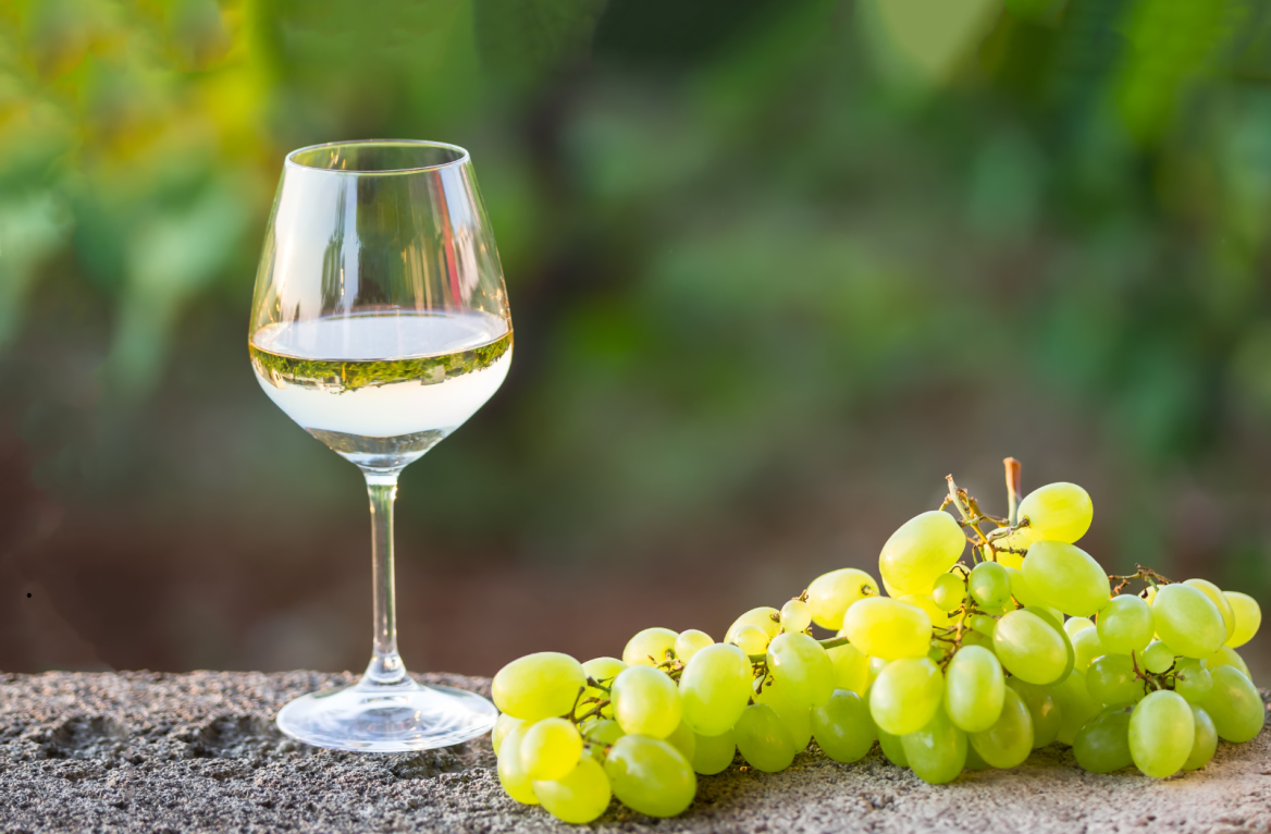 vignoble charente maritime