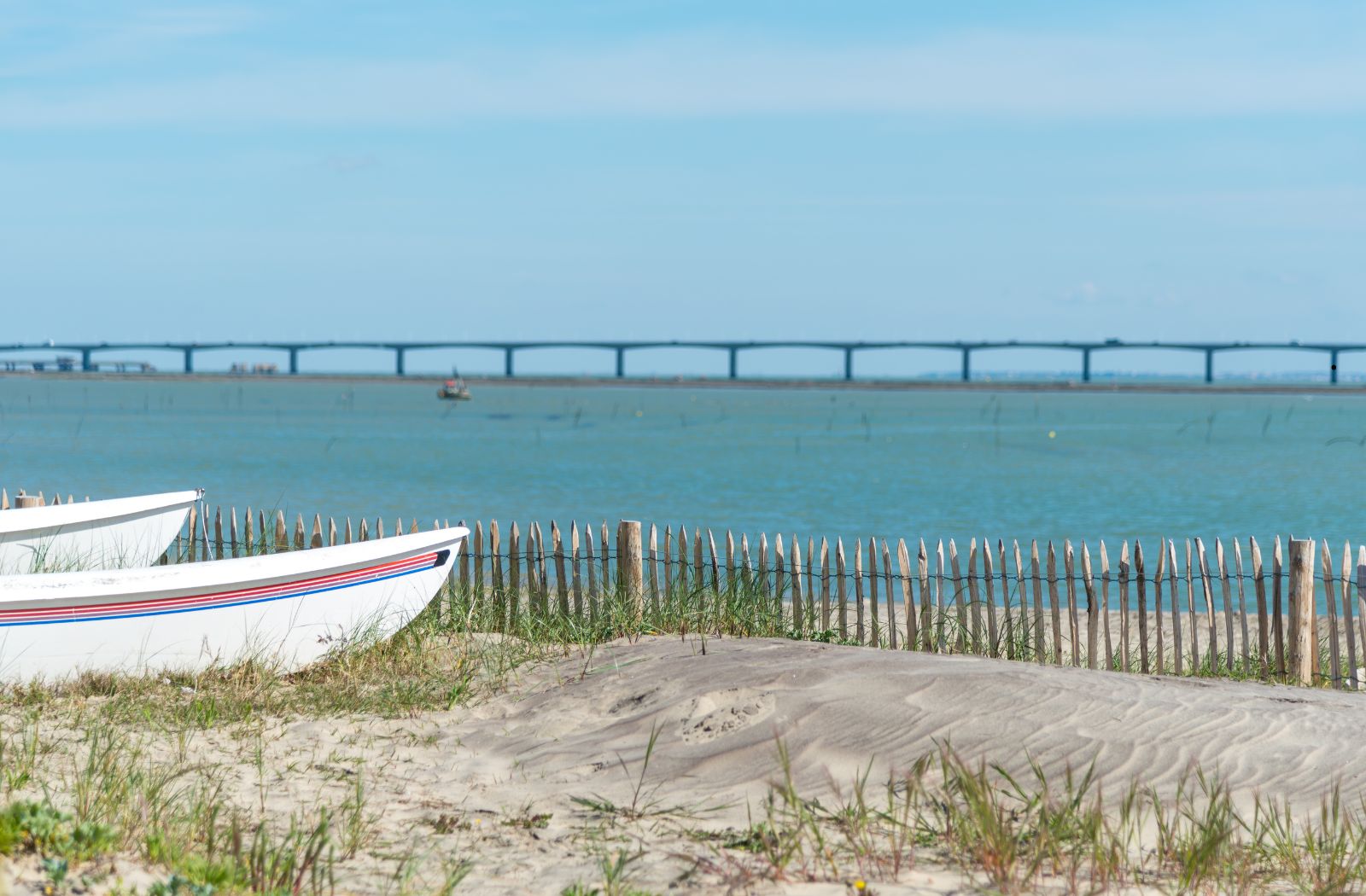 charente marimite