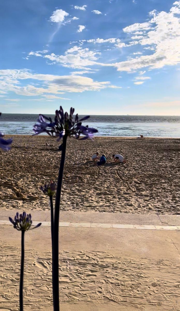 Plage de Chatelaillon