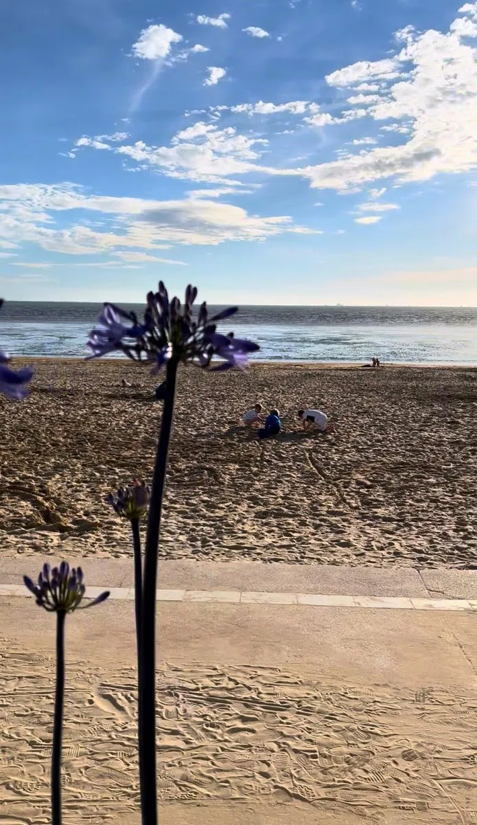 Plage de Chatelaillon